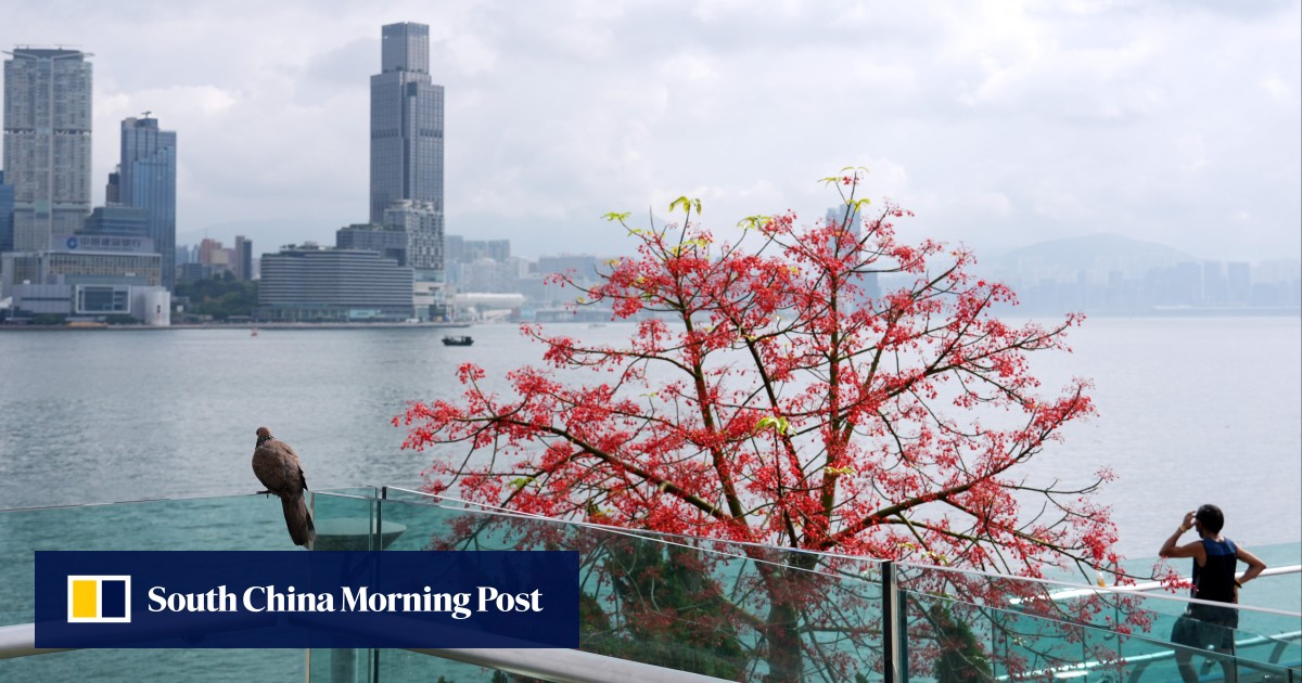 https://cdn.i-scmp.com/sites/default/files/styles/og_image_scmp_generic/public/d8/images/canvas/2025/06/30/131524c9-b5fc-49eb-8a0f-d7d95331b918_dffd2219.jpg?itok=V7FREkLW&v=1751275455