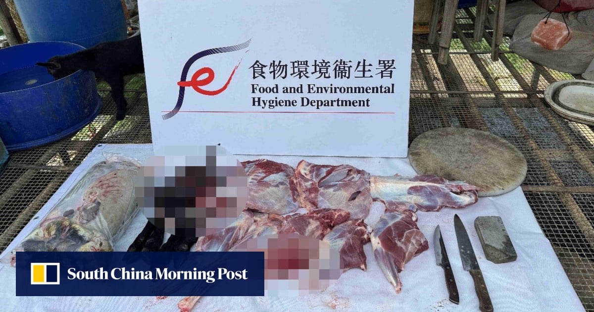 https://cdn.i-scmp.com/sites/default/files/styles/og_image_scmp_generic/public/d8/images/canvas/2025/07/03/410ad8ea-ed48-4fad-b127-fb3d6b96d5e8_543b617d.jpg?itok=WyMqMZWi&v=1751544964