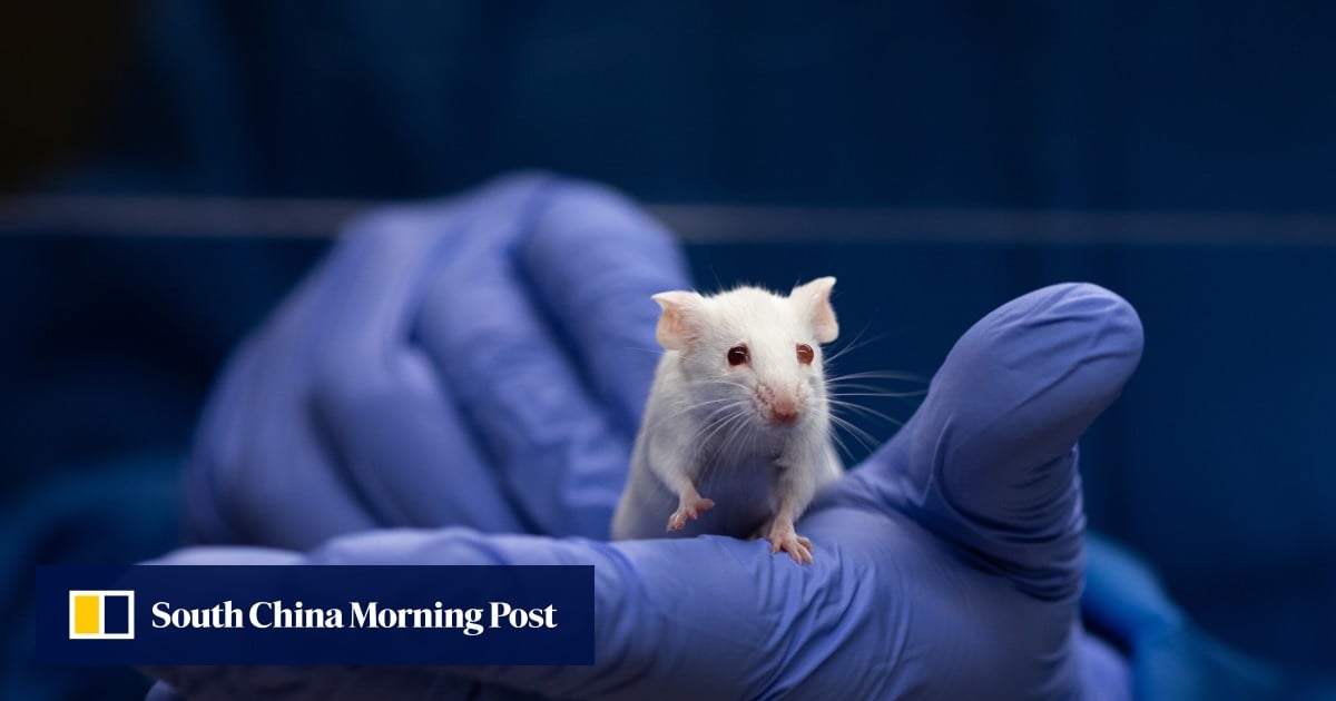 https://cdn.i-scmp.com/sites/default/files/styles/og_image_scmp_generic/public/d8/images/canvas/2025/07/04/29d2f974-0b05-4251-98e3-d726b9413d72_1317725c.jpg?itok=VyQLj-TQ&v=1751604790