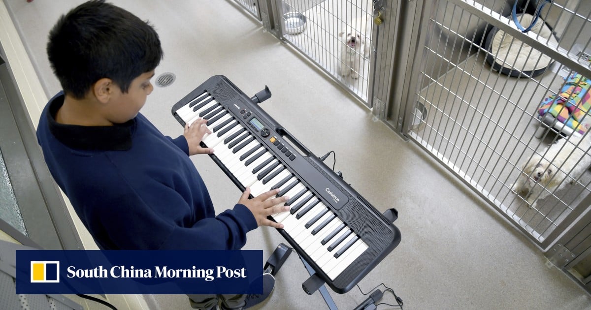 https://cdn.i-scmp.com/sites/default/files/styles/og_image_scmp_generic/public/d8/images/canvas/2025/07/04/39865620-06c0-4aca-ad8d-f5bcb50a01be_39ac3319.jpg?itok=khU1nsQz&v=1751598237