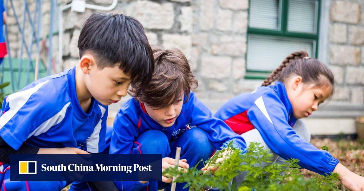https://cdn.i-scmp.com/sites/default/files/styles/og_image_scmp_generic/public/d8/images/canvas/2025/07/04/58324595-e3a1-4750-a73a-ca6e6f9e10c4_e6542af6.jpg?itok=hcS1nQ9c&v=1751611843