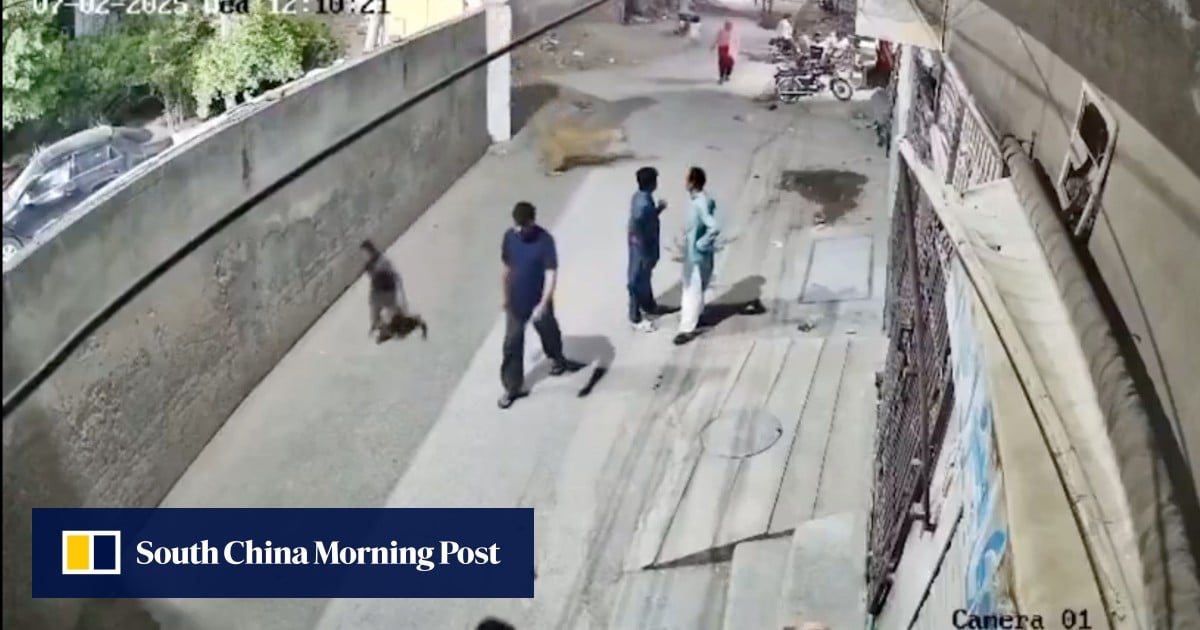 https://cdn.i-scmp.com/sites/default/files/styles/og_image_scmp_generic/public/d8/images/canvas/2025/07/04/676593a9-e47f-48b4-92f2-55f89620a88a_15c100af.jpg?itok=rzSqdaCE&v=1751632894