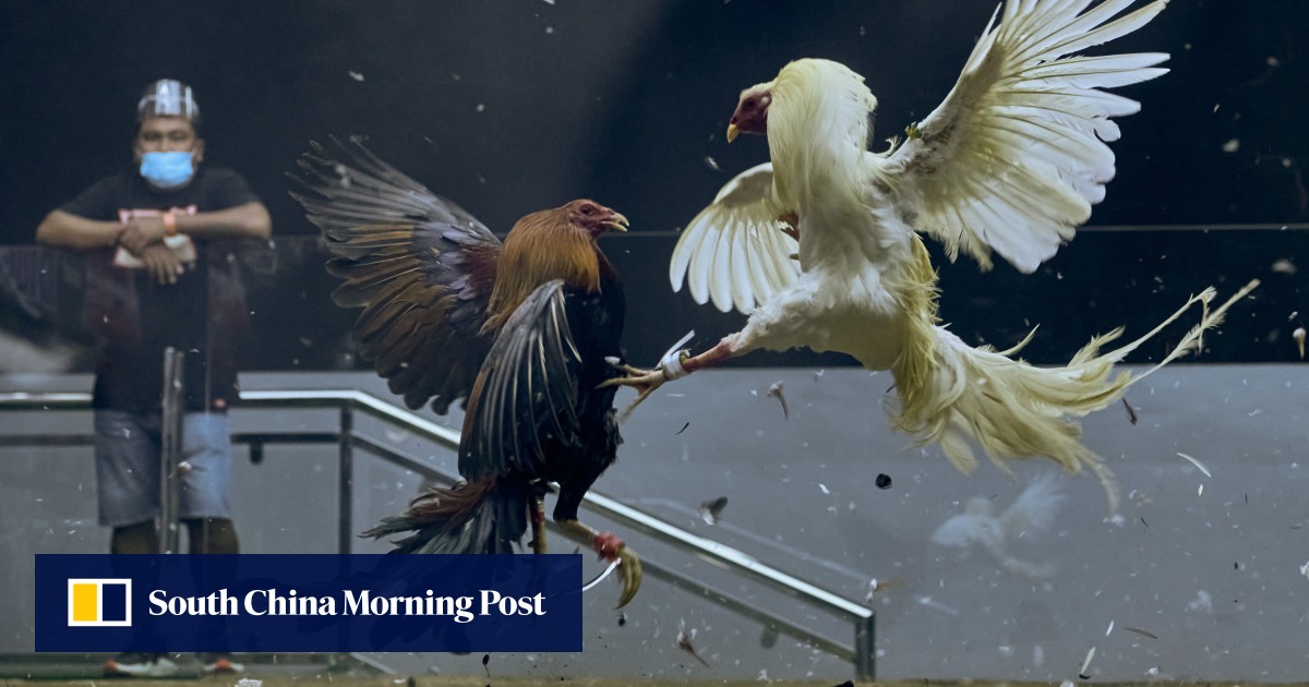 https://cdn.i-scmp.com/sites/default/files/styles/og_image_scmp_generic/public/d8/images/canvas/2025/07/04/b5c4c53c-0dc1-459f-9b45-0c9be075745f_7d6e176e.jpg?itok=Avd5VKp6&v=1751624998
