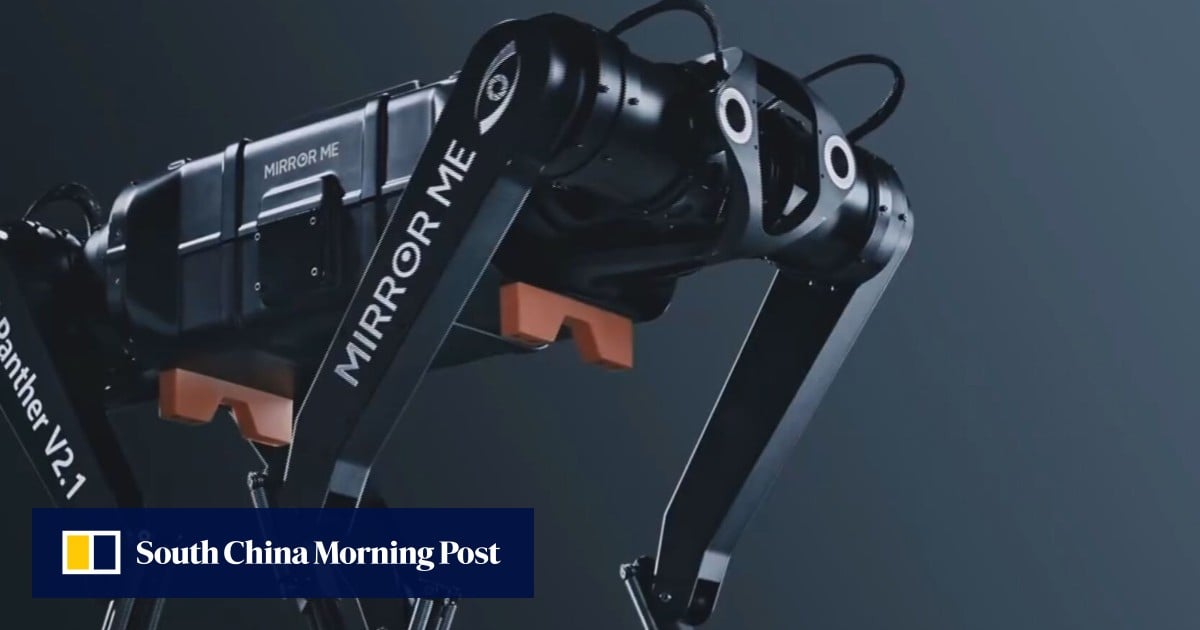 Chinese start-up Mirror Me’s robot dog outpaces Boston Dynamics’ WildCat