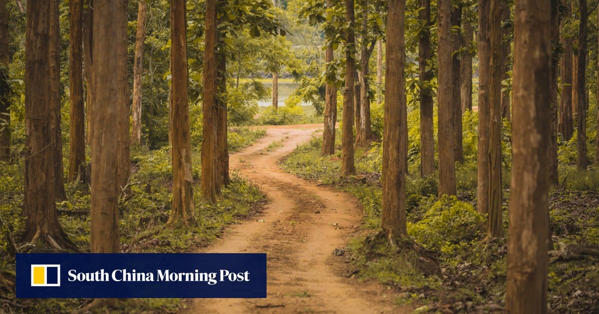 https://cdn.i-scmp.com/sites/default/files/styles/og_image_scmp_generic/public/d8/images/canvas/2025/07/07/4d9db92e-17b0-4394-80c0-bb9398f1a87f_28b505e3.jpg?itok=1hA78uS1&v=1751874567