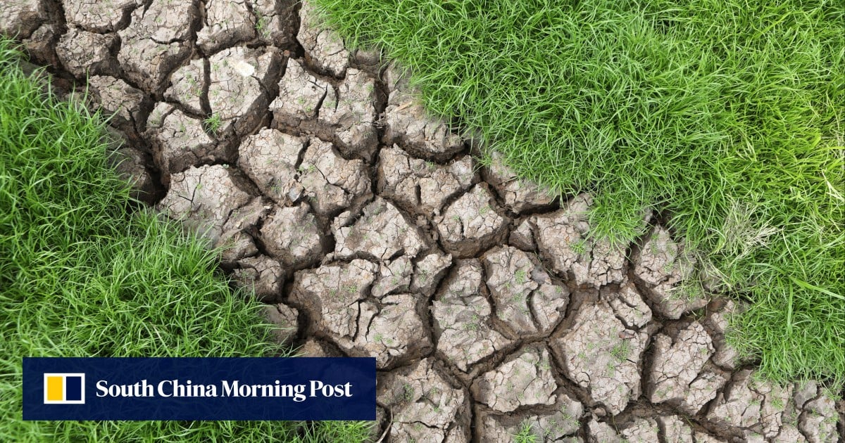 A third of chip supply threatened by climate change by 2035: PwC