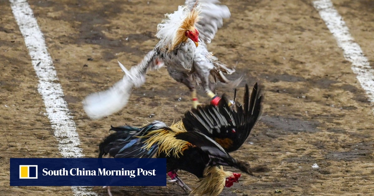 https://cdn.i-scmp.com/sites/default/files/styles/og_image_scmp_generic/public/d8/images/canvas/2025/07/07/fe41ac8f-a3e7-42ea-838e-73203738f775_49de2aee.jpg?itok=xDvYnqJ8&v=1751884067