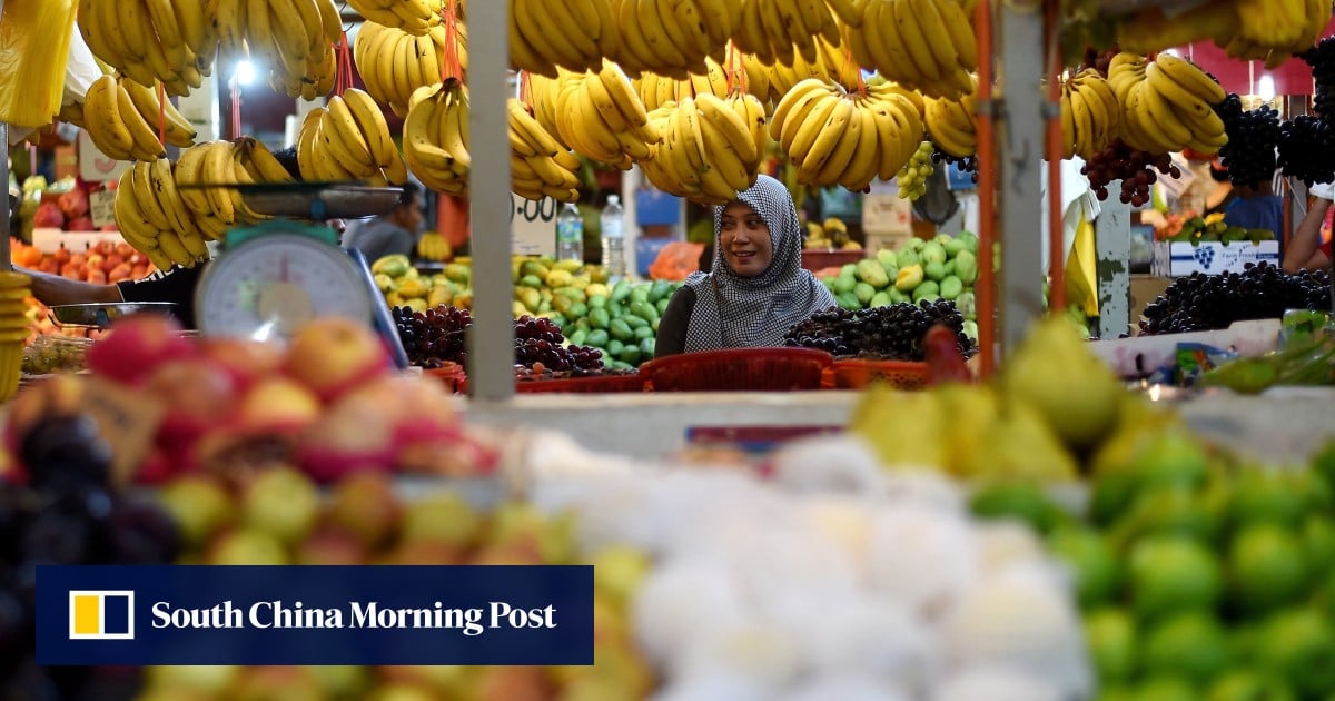 https://cdn.i-scmp.com/sites/default/files/styles/og_image_scmp_generic/public/d8/images/canvas/2025/07/08/0a66e3f7-7b5b-4f1a-a7d5-805672dcf8f5_7ea5122f.jpg?itok=dLL7KzB1&v=1751948771