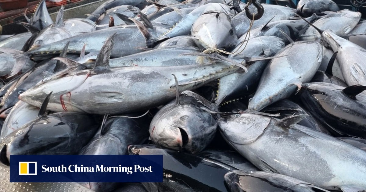 https://cdn.i-scmp.com/sites/default/files/styles/og_image_scmp_generic/public/d8/images/canvas/2025/07/09/aad82ee1-016f-494a-9f39-d30bef1bf3d8_b9823d8e.jpg?itok=N_JPSCK_&v=1752053899