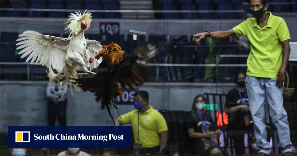 https://cdn.i-scmp.com/sites/default/files/styles/og_image_scmp_generic/public/d8/images/canvas/2025/07/10/665bfe3c-2b25-4c57-a806-954c481b2a78_59c9fa76.jpg?itok=uJ2Bgh-8&v=1752122980