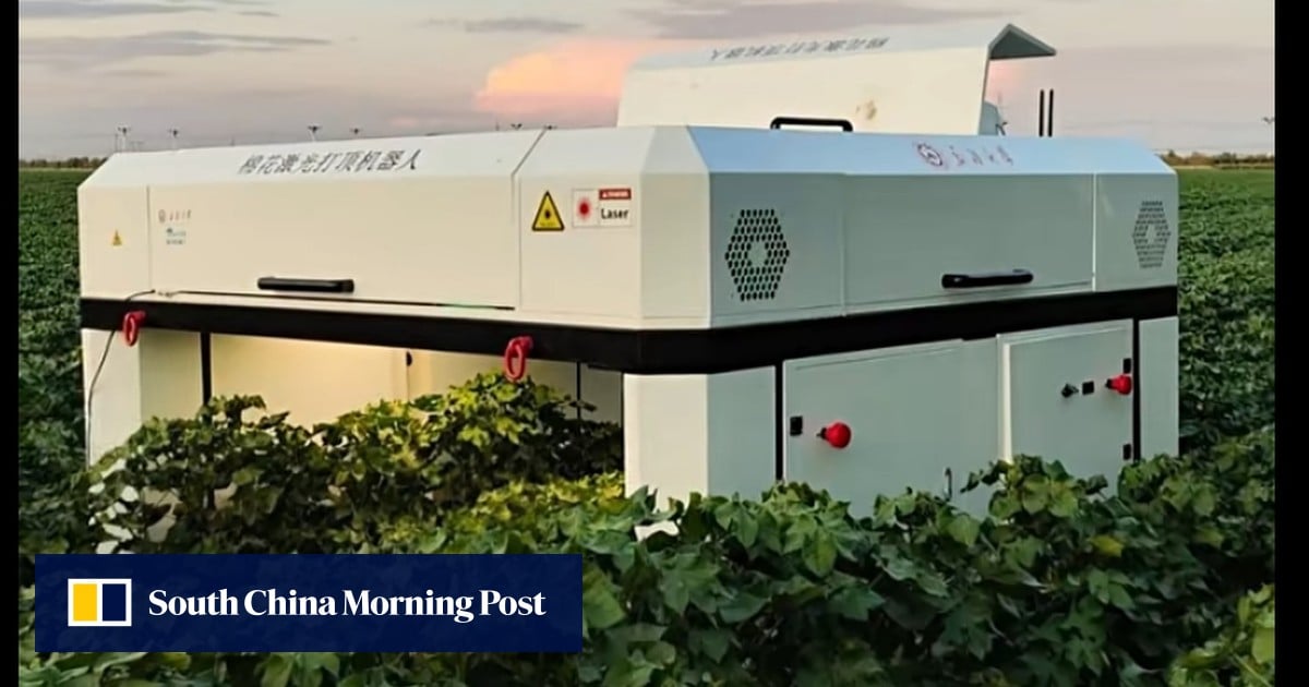China’s cotton topping robot promises full automated production of Xinjiang crop