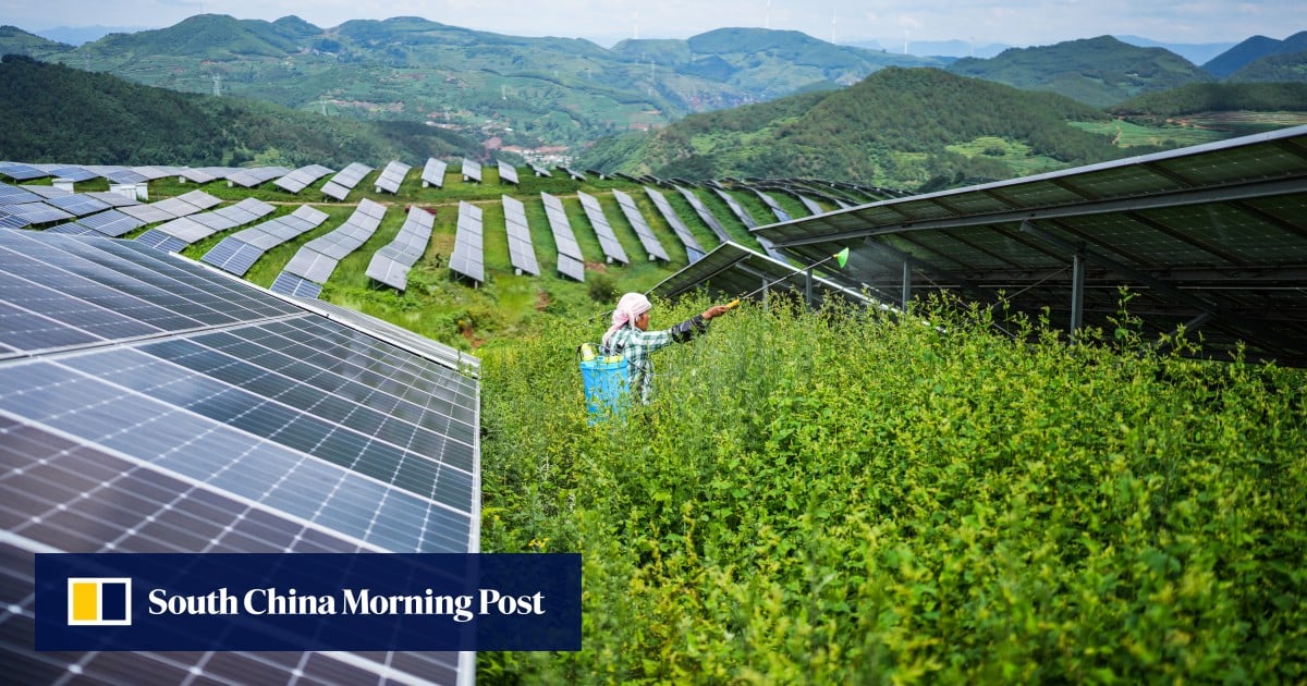 China’s strategic green investments fuel renewable sector: World Energy Investment report