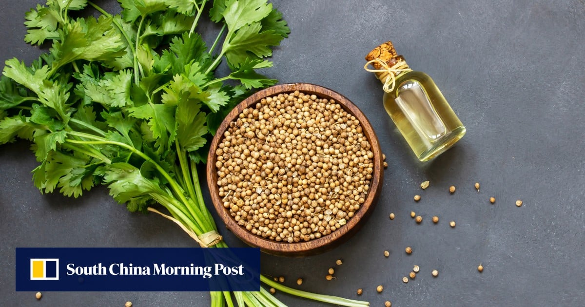 You either love or hate it – how to cook with coriander in 3 recipe ideas