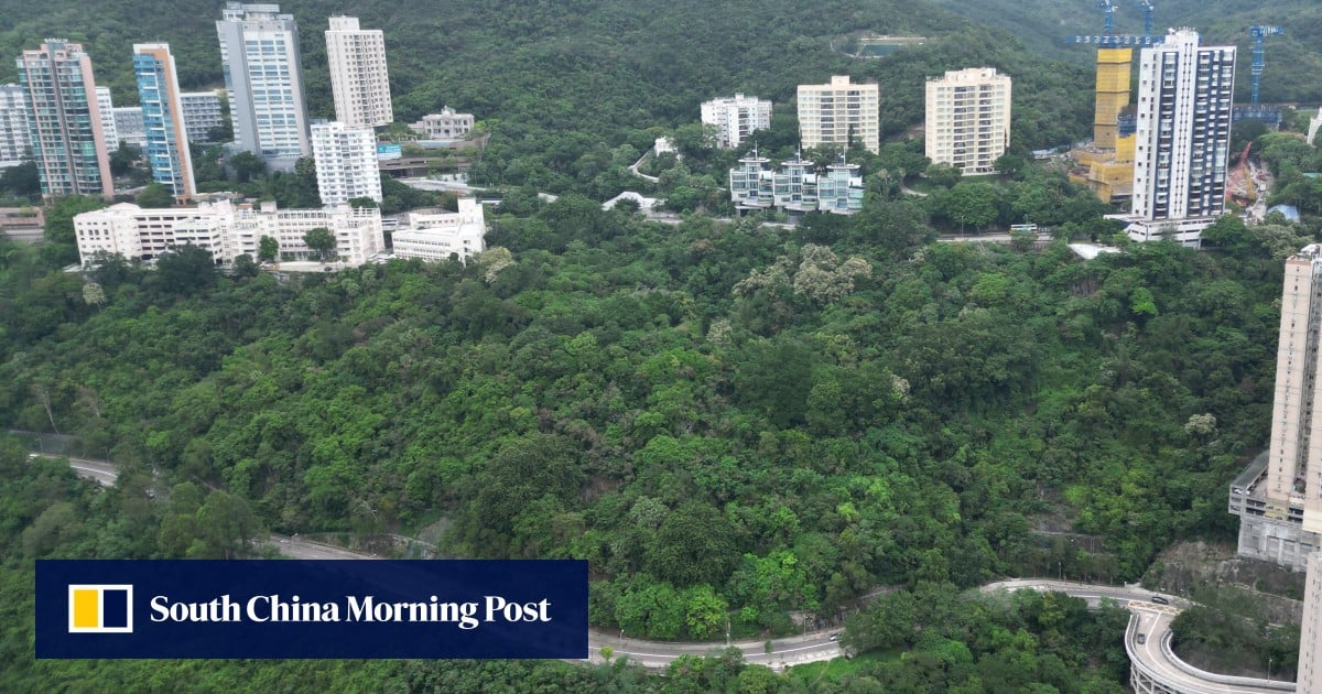 https://cdn.i-scmp.com/sites/default/files/styles/og_image_scmp_generic/public/d8/images/canvas/2025/07/11/da5becbd-be87-4520-af80-2cb515f4f1f6_8e84badc.jpg?itok=7B3dLLfd&v=1752249156