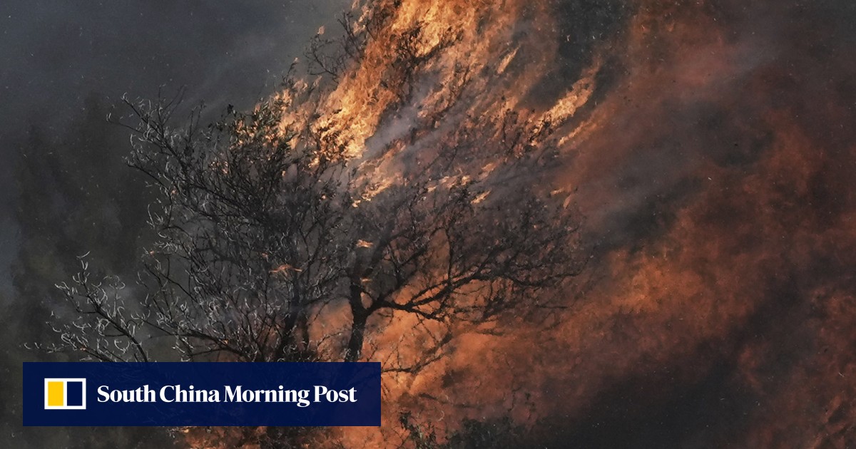 https://cdn.i-scmp.com/sites/default/files/styles/og_image_scmp_generic/public/d8/images/canvas/2025/07/12/c923fd0c-ca8a-41a3-b65d-69e70f7483d8_3f13ab4e.jpg?itok=7EXexy16&v=1752289260