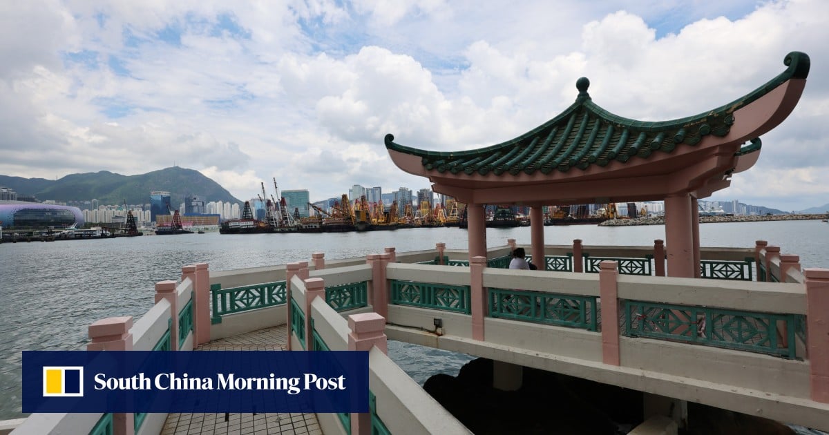 Hong Kong police search for suspect who pushed boy, 9, into sea off Hung Hom