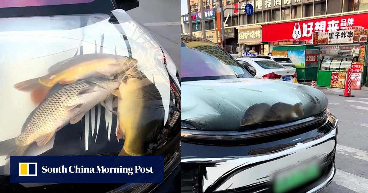 https://cdn.i-scmp.com/sites/default/files/styles/og_image_scmp_generic/public/d8/images/canvas/2025/07/15/8a8e83ef-60b6-42b4-b2e3-d8e3be5a5a70_1af7c493.jpg?itok=-RfkPlyx&v=1752568042