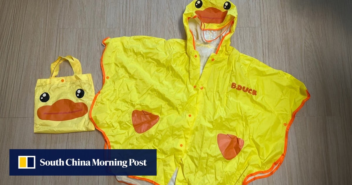 4 children’s raincoats fail Hong Kong watchdog’s physical, chemical safety tests