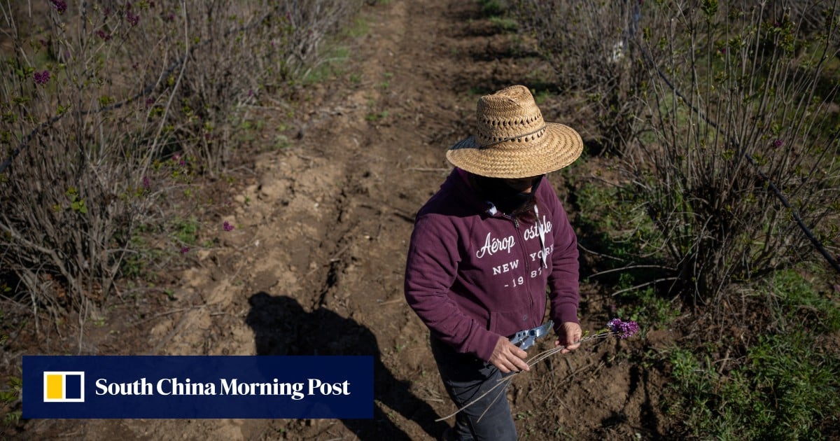 Why Trump’s remittance tax will be ‘devastating’ for Filipino-Americans