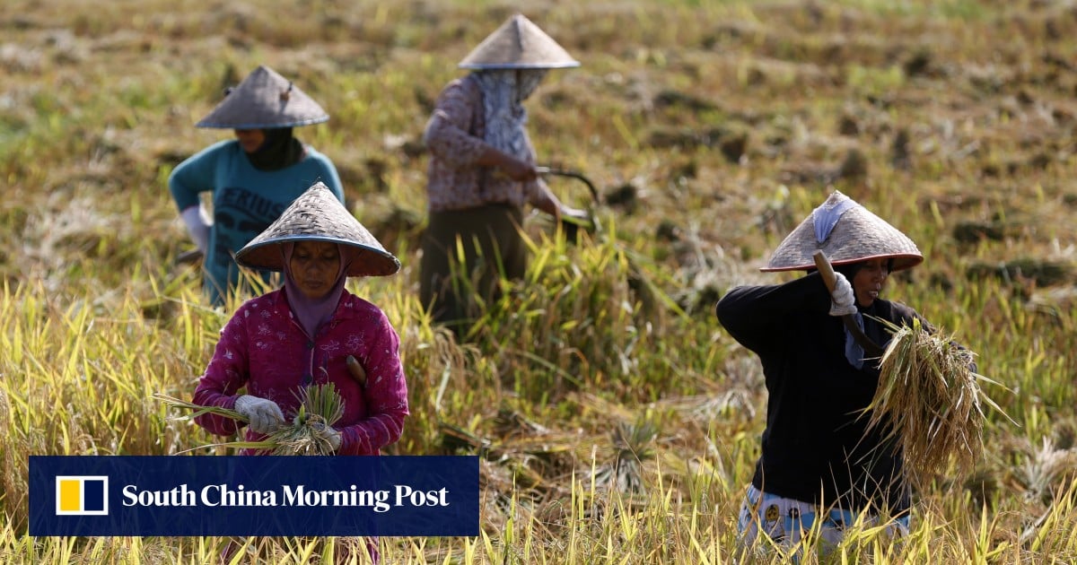 Will Indonesia lose out after Trump’s ‘landmark’ trade deal with Prabowo?