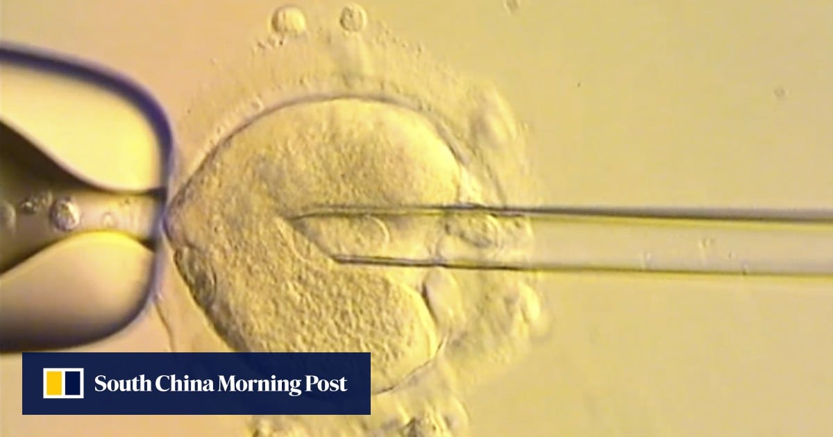 https://cdn.i-scmp.com/sites/default/files/styles/og_image_scmp_generic/public/d8/images/canvas/2025/07/17/d3ffc9d7-7e37-4c4f-9a8a-afcd3f820fa8_ac5af315.jpg?itok=rf9keSxd&v=1752720703