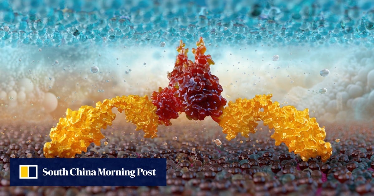 https://cdn.i-scmp.com/sites/default/files/styles/og_image_scmp_generic/public/d8/images/canvas/2025/07/18/12046464-b4dc-4ac3-90cd-2d5882cb15da_7089c2c9.jpg?itok=MmQIoCOG&v=1752808687