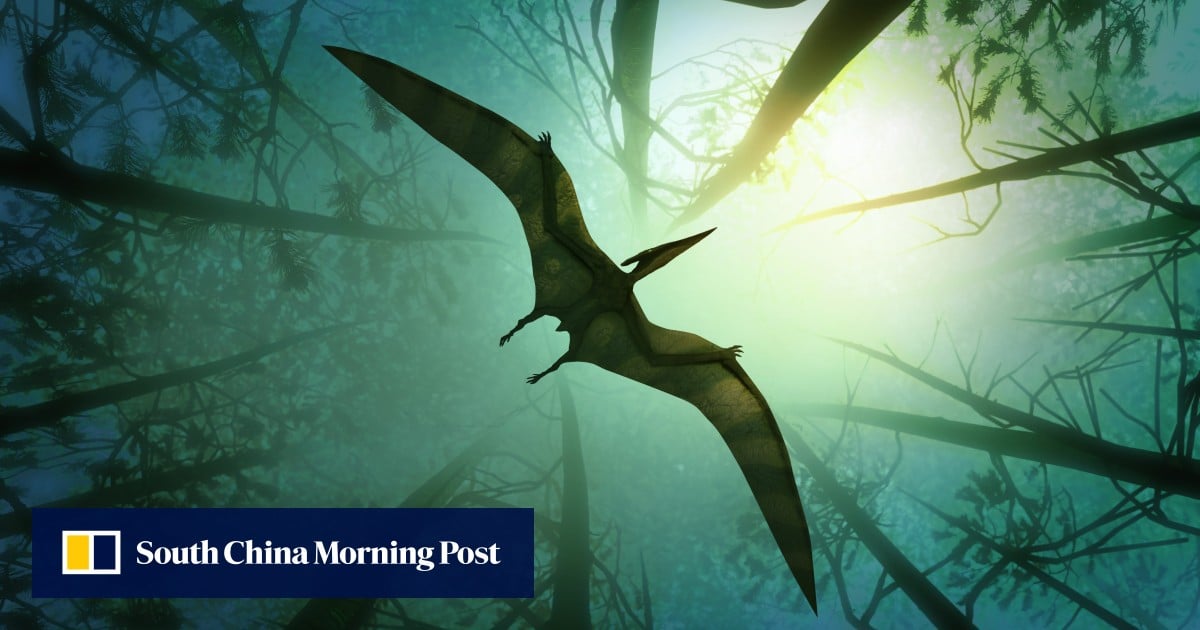 https://cdn.i-scmp.com/sites/default/files/styles/og_image_scmp_generic/public/d8/images/canvas/2025/07/18/ba08d6c5-cf78-4ff2-b670-161715b65e13_82c305dd.jpg?itok=VDonH2y5&v=1752837722