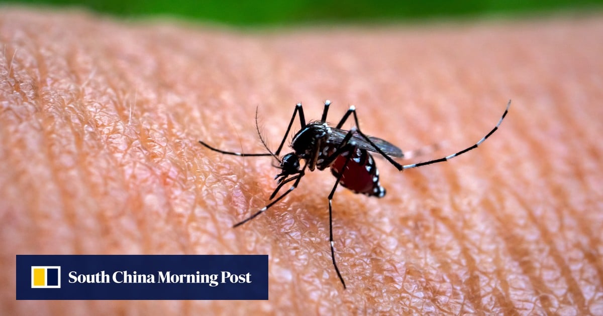 https://cdn.i-scmp.com/sites/default/files/styles/og_image_scmp_generic/public/d8/images/canvas/2025/07/19/6b5ea0f3-7229-4d2f-89a9-96ff079e8c7c_f74304cc.jpg?itok=bjEdxGwt&v=1752915788