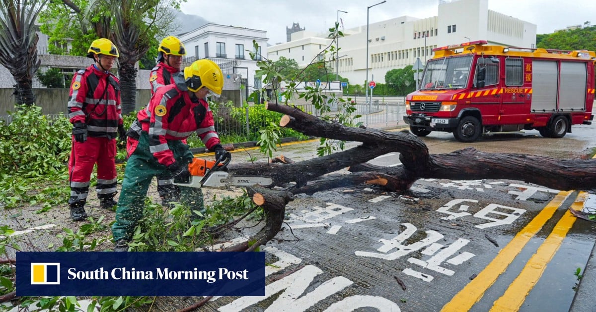 https://cdn.i-scmp.com/sites/default/files/styles/og_image_scmp_generic/public/d8/images/canvas/2025/07/21/2abca1c1-3878-4a06-9704-e9932c7a2f1b_ea79e9e4.jpg?itok=jm2X3CNb&v=1753056466
