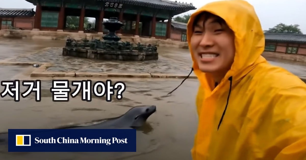 https://cdn.i-scmp.com/sites/default/files/styles/og_image_scmp_generic/public/d8/images/canvas/2025/07/21/3e45b9b2-f189-4615-8609-b1904d65a92f_d2a8a8af.jpg?itok=bjtimL43&v=1753084770