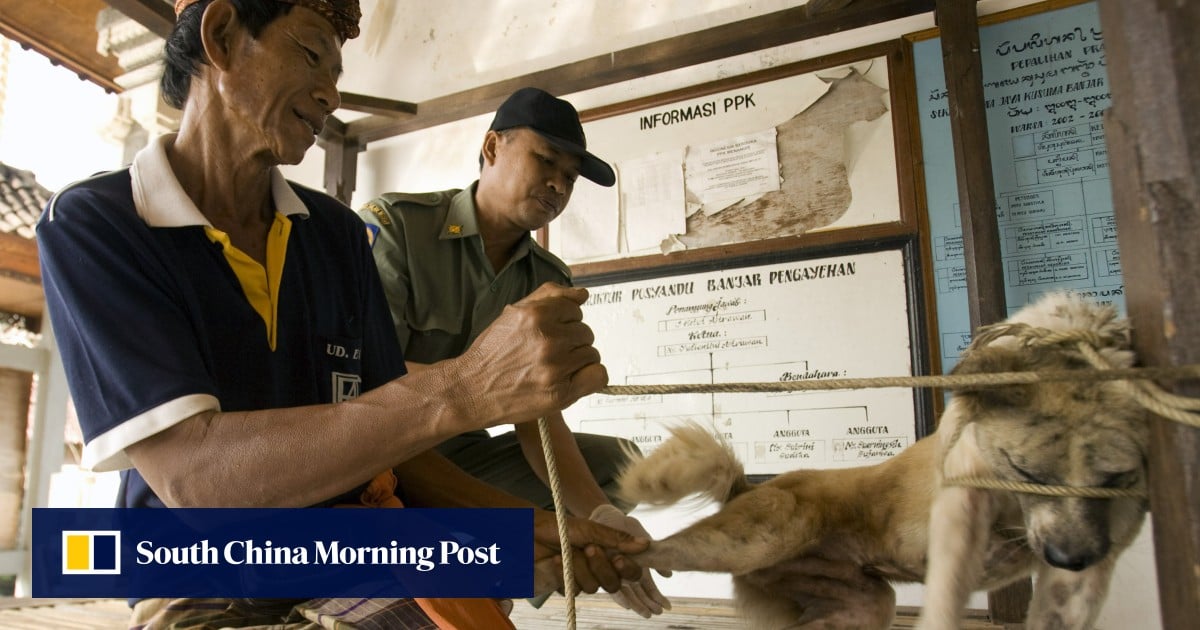 https://cdn.i-scmp.com/sites/default/files/styles/og_image_scmp_generic/public/d8/images/canvas/2025/07/22/b3c14860-1808-462b-a977-569f3552b87d_e9015258.jpg?itok=kHiahvYB&v=1753187041