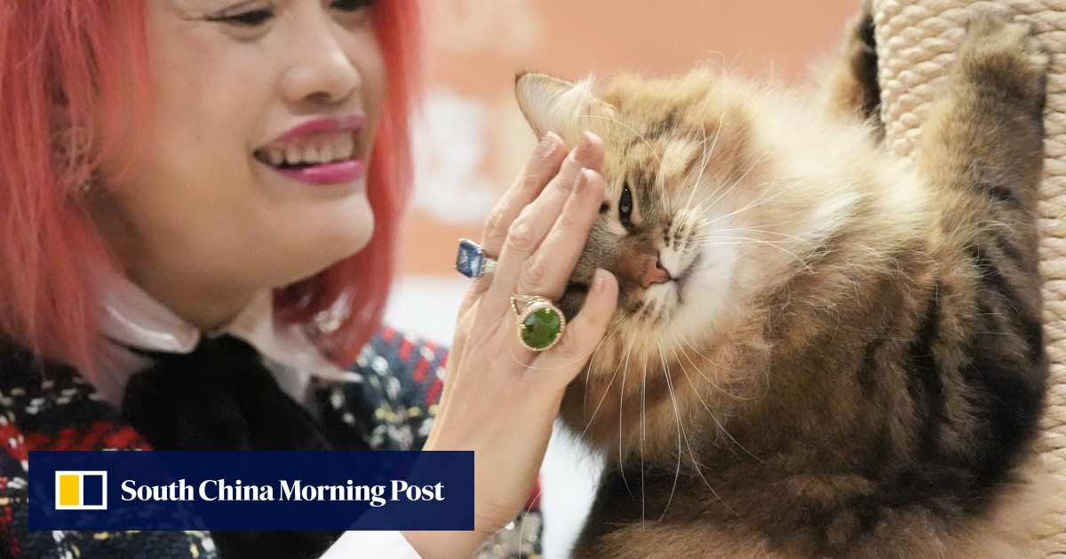https://cdn.i-scmp.com/sites/default/files/styles/og_image_scmp_generic/public/d8/images/canvas/2025/07/23/d17e4136-ee85-4c3a-ba58-d7358e55235d_81a94164.jpg?itok=o6dTdgG3&v=1753272297