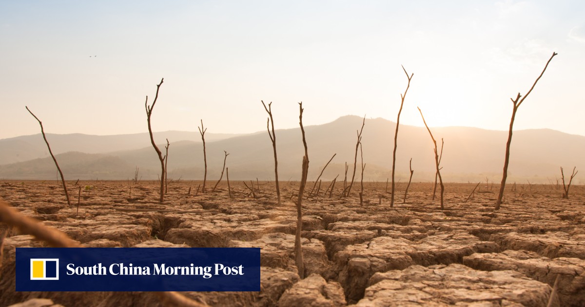 https://cdn.i-scmp.com/sites/default/files/styles/og_image_scmp_generic/public/d8/images/canvas/2025/07/23/f7641d08-4c26-4848-b051-17af478fd5f7_ac53c7b0.jpg?itok=E9F8mN9K&v=1753279105