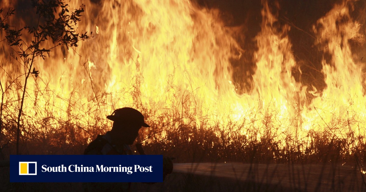 https://cdn.i-scmp.com/sites/default/files/styles/og_image_scmp_generic/public/d8/images/canvas/2025/07/25/6c1fe54b-c75f-4614-abfd-bc5775650f65_f7ecf79e.jpg?itok=E755ZawB&v=1753418324