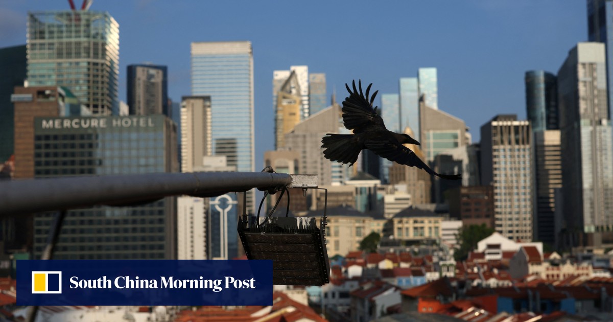 https://cdn.i-scmp.com/sites/default/files/styles/og_image_scmp_generic/public/d8/images/canvas/2025/07/26/d9a3a1b7-6eef-4394-9221-1b599255a2ea_d137517c.jpg?itok=n5xalGJh&v=1753496582