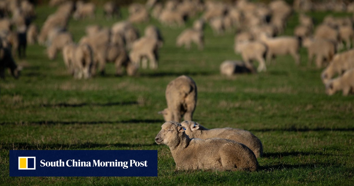 https://cdn.i-scmp.com/sites/default/files/styles/og_image_scmp_generic/public/d8/images/canvas/2025/07/27/267af482-3bbb-4ab8-bc6e-c38054f2e7e3_0d51d34d.jpg?itok=vCXtl_uu&v=1753611887