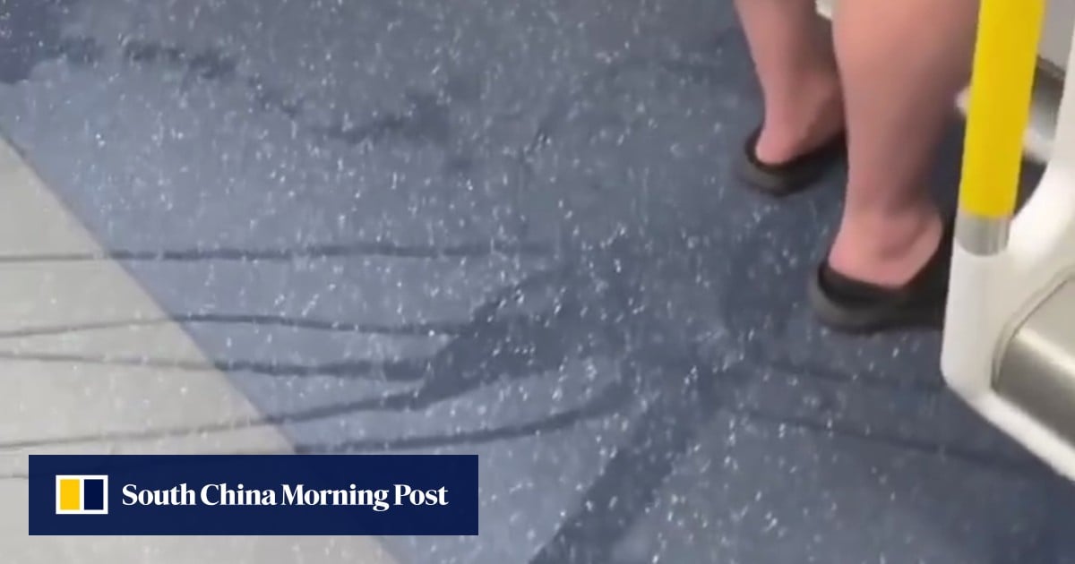 https://cdn.i-scmp.com/sites/default/files/styles/og_image_scmp_generic/public/d8/images/canvas/2025/07/28/9794d10b-a45a-46d6-8779-6a1bf57b1004_88083bd5.jpg?itok=XnzoCRrB&v=1753717500