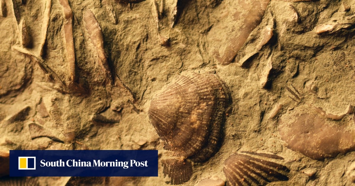 https://cdn.i-scmp.com/sites/default/files/styles/og_image_scmp_generic/public/d8/images/canvas/2025/07/28/ee6a52af-0dfd-4bbc-92f0-40b898656a8a_bf69d983.jpg?itok=77r4upC3&v=1753701702