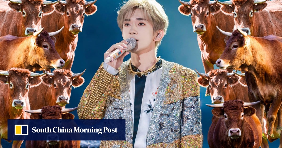 https://cdn.i-scmp.com/sites/default/files/styles/og_image_scmp_generic/public/d8/images/canvas/2025/07/29/2e6bc802-95eb-4b5a-90a4-6aa3d9cf627c_9c6cb7eb.jpg?itok=VNxIuqVu&v=1753784039