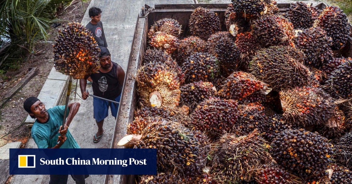 https://cdn.i-scmp.com/sites/default/files/styles/og_image_scmp_generic/public/d8/images/canvas/2025/07/29/459879ea-123f-4b5f-9f2a-d4613d6ebfc8_83467980.jpg?itok=5PMZ5CGL&v=1753799174