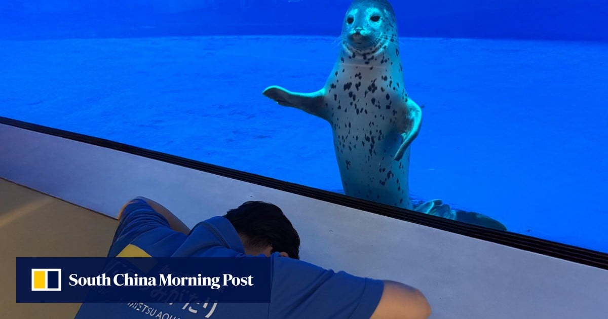 https://cdn.i-scmp.com/sites/default/files/styles/og_image_scmp_generic/public/d8/images/canvas/2025/07/30/839c4b76-3da9-41cc-9c72-620eb2117f8c_b3ec359e.jpg?itok=R_c9jSOV&v=1753856703
