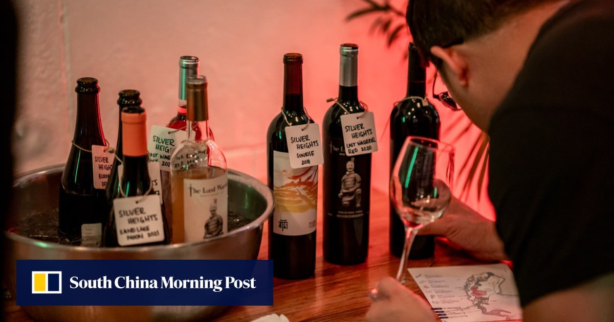 https://cdn.i-scmp.com/sites/default/files/styles/og_image_scmp_generic/public/d8/images/canvas/2025/07/30/ddb31c38-88c4-4a65-ba1c-a5043d27c1fe_294690a4.jpg?itok=aZ6TFBni&v=1753862067