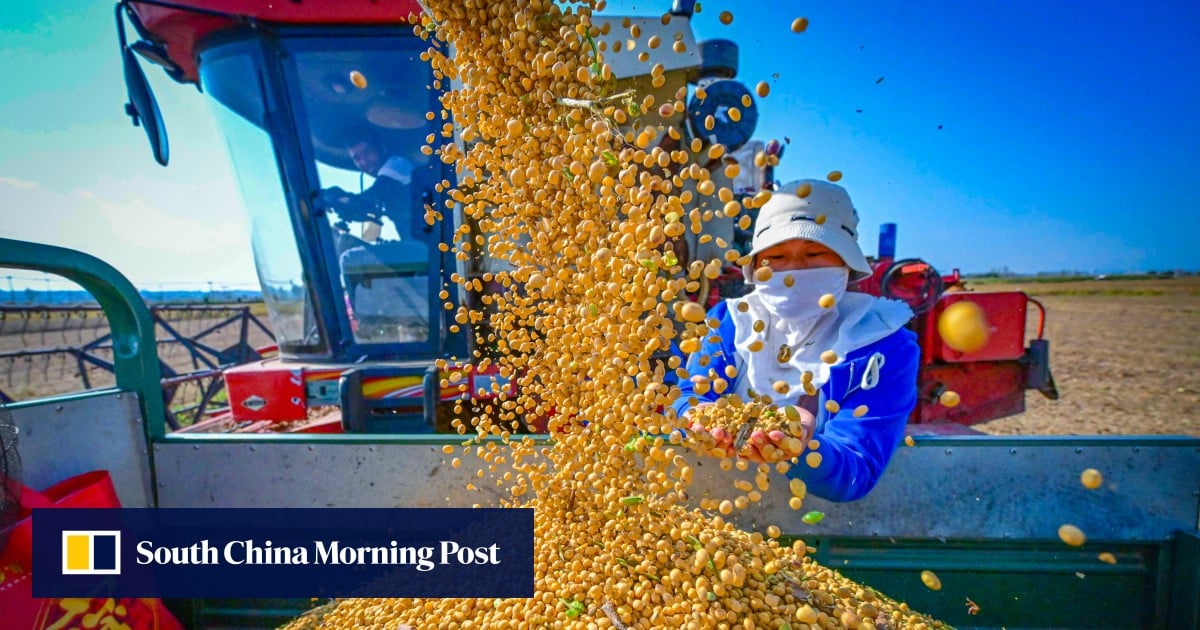 https://cdn.i-scmp.com/sites/default/files/styles/og_image_scmp_generic/public/d8/images/canvas/2025/08/01/63a12944-861e-44dd-b53e-97187e617d90_eeaf6ac0.jpg?itok=qkbEMZKR&v=1754049248