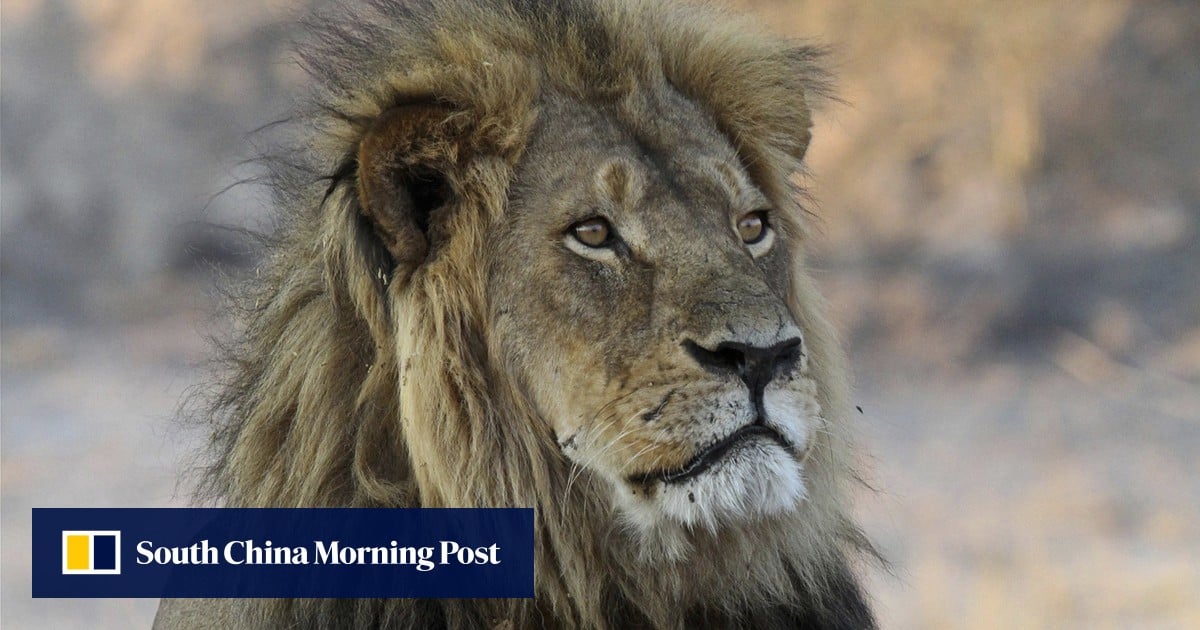 https://cdn.i-scmp.com/sites/default/files/styles/og_image_scmp_generic/public/d8/images/canvas/2025/08/01/782e3669-30e2-4850-bcde-1878cc749f15_76ff01a0.jpg?itok=-QzhkkB1&v=1754024280
