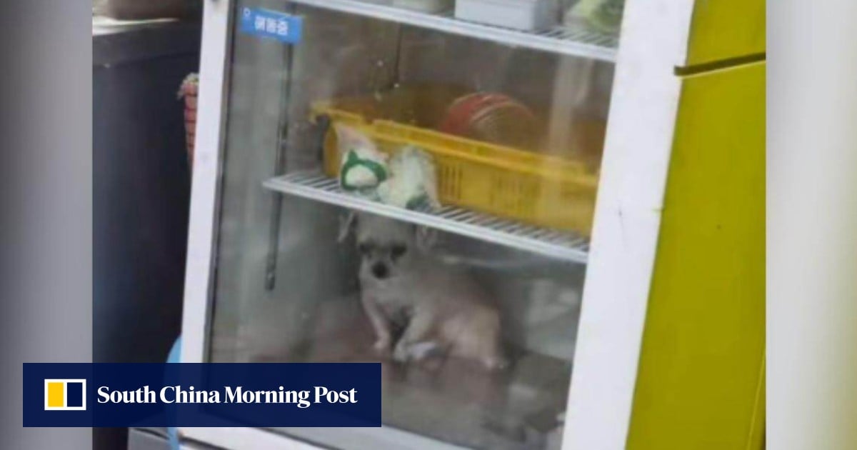 https://cdn.i-scmp.com/sites/default/files/styles/og_image_scmp_generic/public/d8/images/canvas/2025/08/01/c027dec5-388b-41bb-a68c-6fe62004f9aa_f897dd54.jpg?itok=DXxqn0T1&v=1754043973