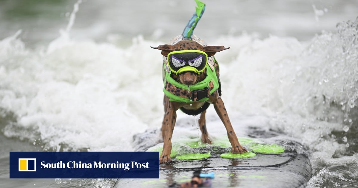 https://cdn.i-scmp.com/sites/default/files/styles/og_image_scmp_generic/public/d8/images/canvas/2025/08/02/171f5718-a139-4c91-9b38-f292320ef659_326b0013.jpg?itok=0_VRF6FH&v=1754148829