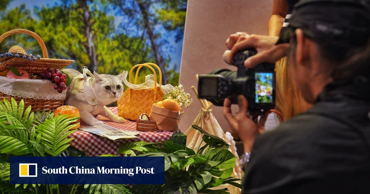 https://cdn.i-scmp.com/sites/default/files/styles/og_image_scmp_generic/public/d8/images/canvas/2025/08/02/c505598e-5361-4530-b2a6-abcc4ea517eb_0a944556.jpg?itok=e38YSPdv&v=1754066531
