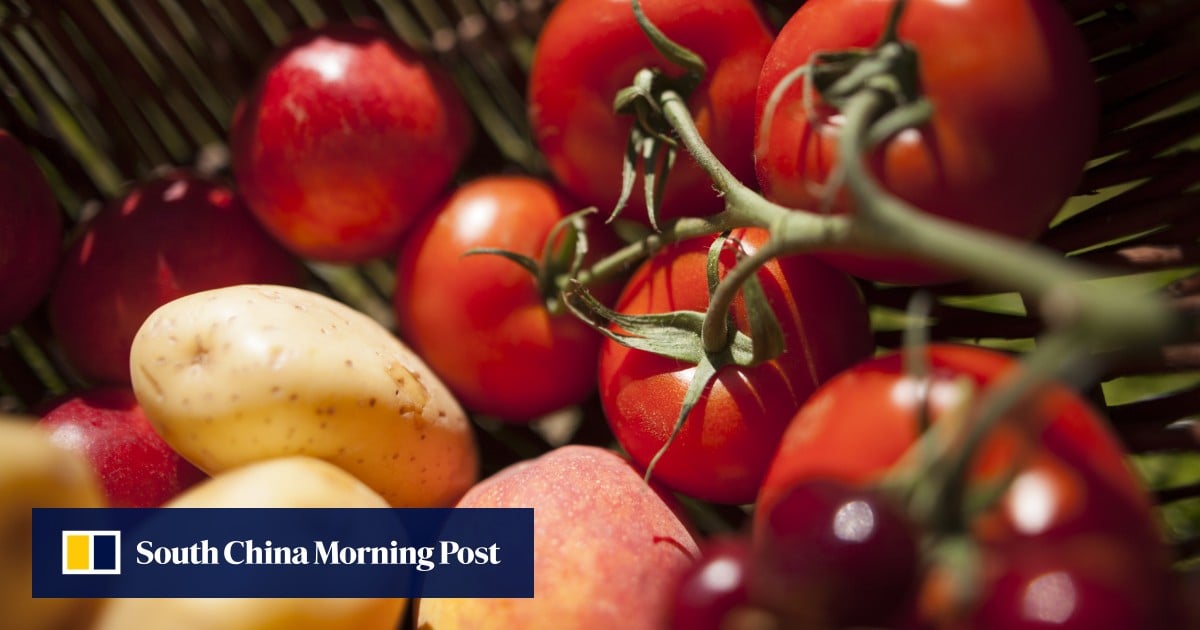 https://cdn.i-scmp.com/sites/default/files/styles/og_image_scmp_generic/public/d8/images/canvas/2025/08/02/d2723eb8-1c38-49c5-bd54-3cb1cf58efd8_a132d7b7.jpg?itok=DqrNXMHD&v=1754111889