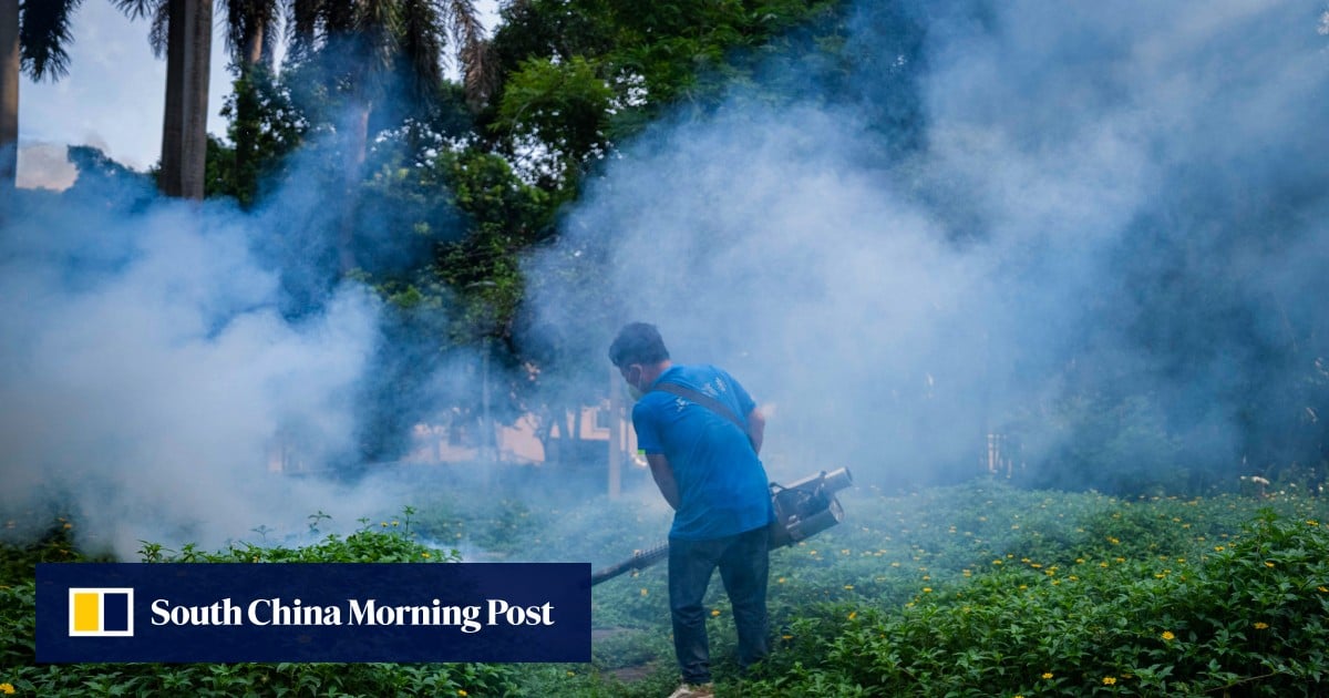Guangdong pledges ‘decisive’ steps to stop chikungunya fever spreading in China