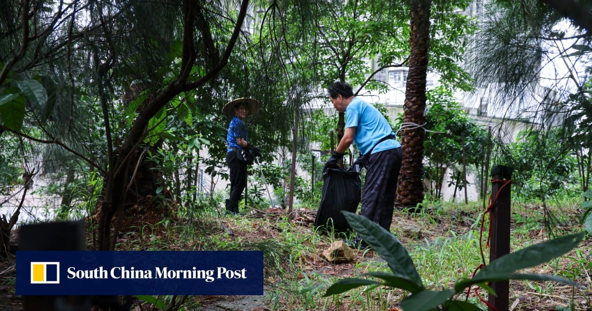 https://cdn.i-scmp.com/sites/default/files/styles/og_image_scmp_generic/public/d8/images/canvas/2025/08/04/48a36dbd-fea7-4afe-aebc-5fb09e121855_bc41979d.jpg?itok=j9kCqs5N&v=1754283844